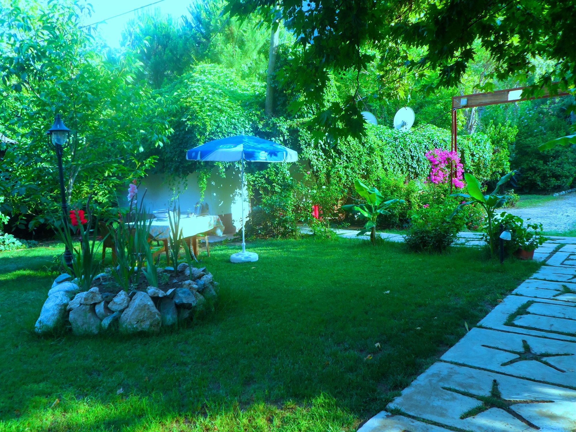 Arya Holiday Houses Çıralı Kültér fotó