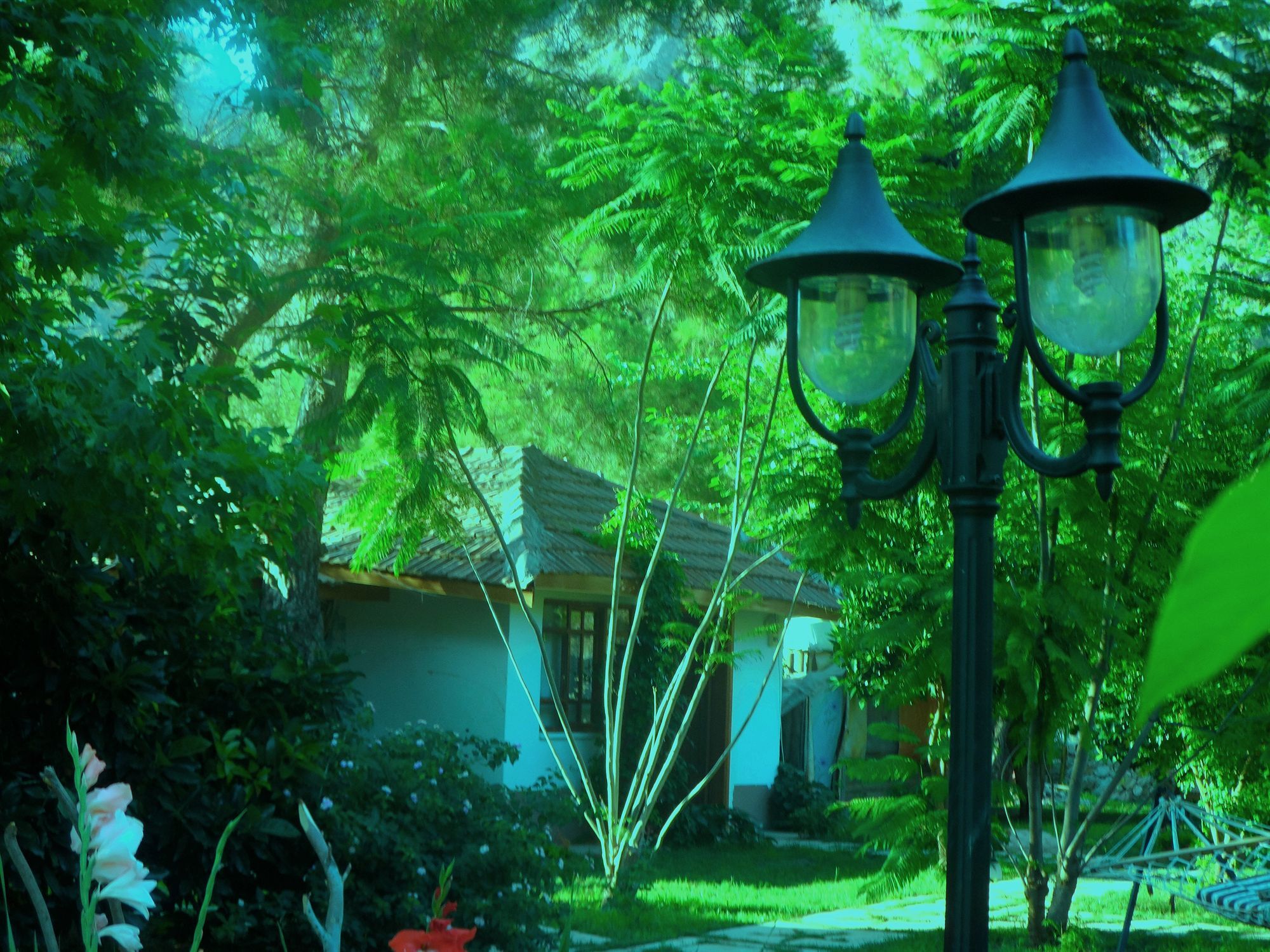 Arya Holiday Houses Çıralı Kültér fotó