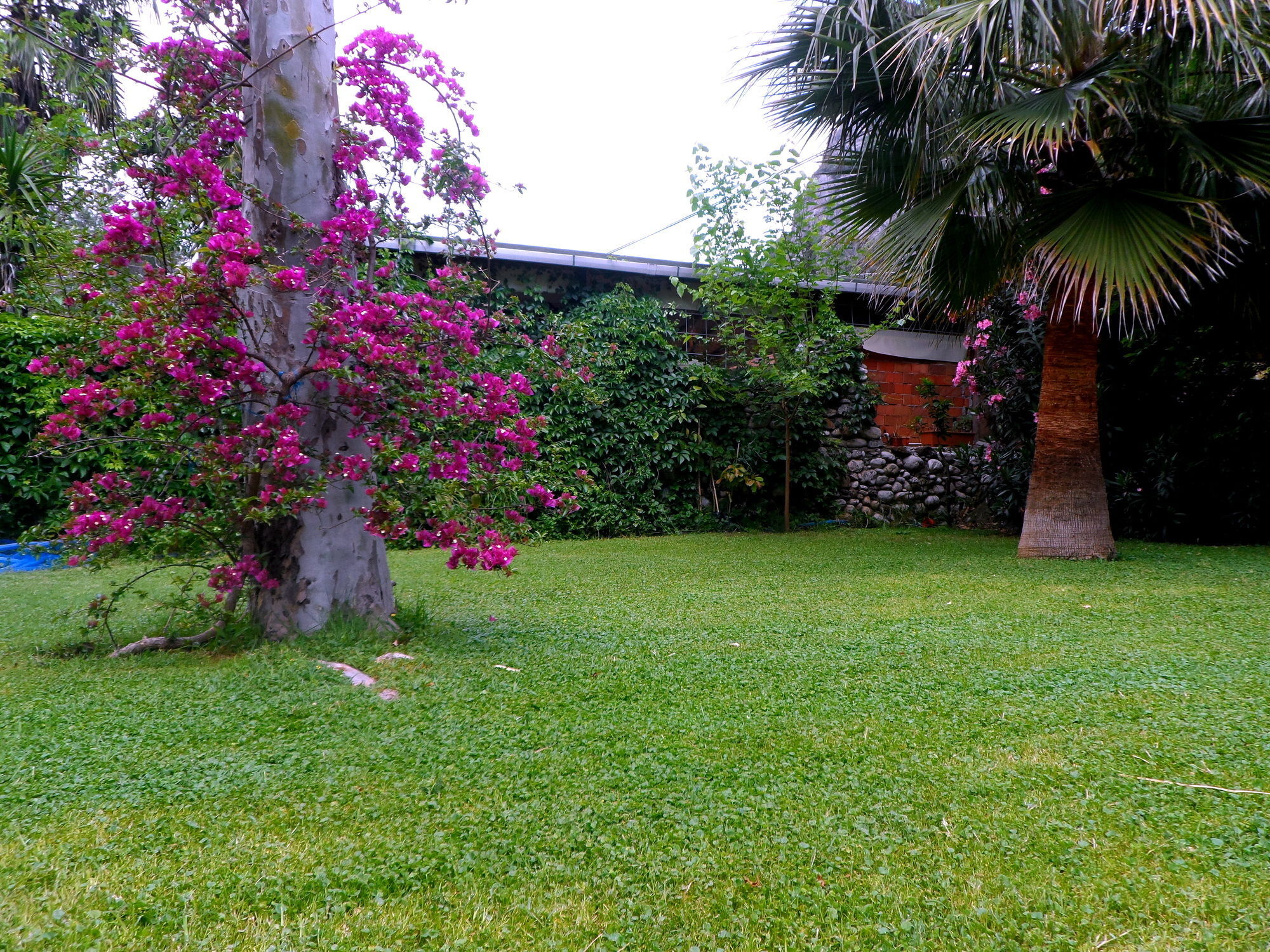 Arya Holiday Houses Çıralı Kültér fotó