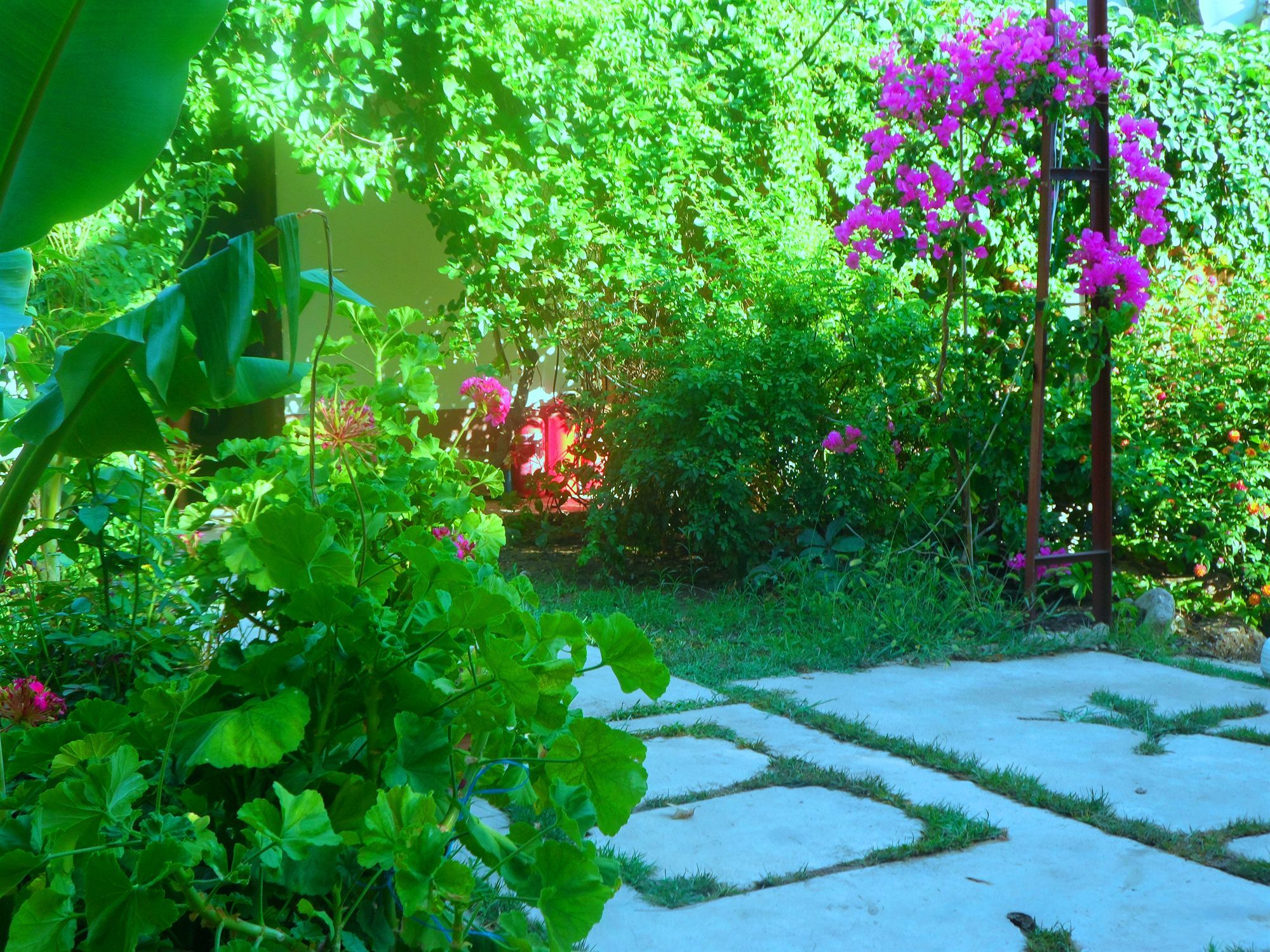 Arya Holiday Houses Çıralı Kültér fotó