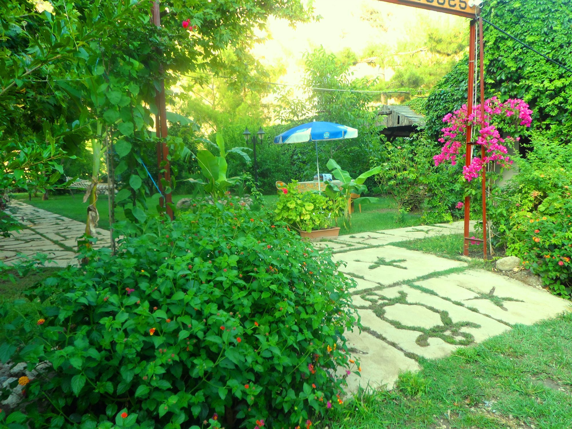 Arya Holiday Houses Çıralı Kültér fotó